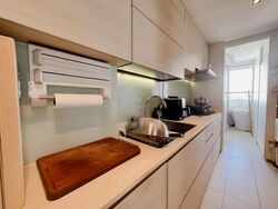 A Treasure Trove (D19), Condominium #563211471